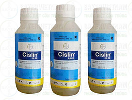 Thuốc trừ mối Cislin 2.5EC