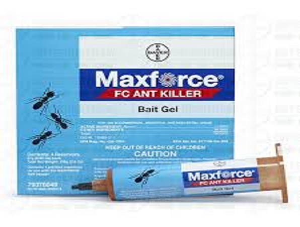 Bả diệt kiến Maxforce Quantum