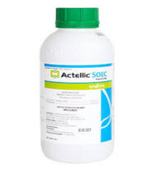 Thuốc actellic 50EC